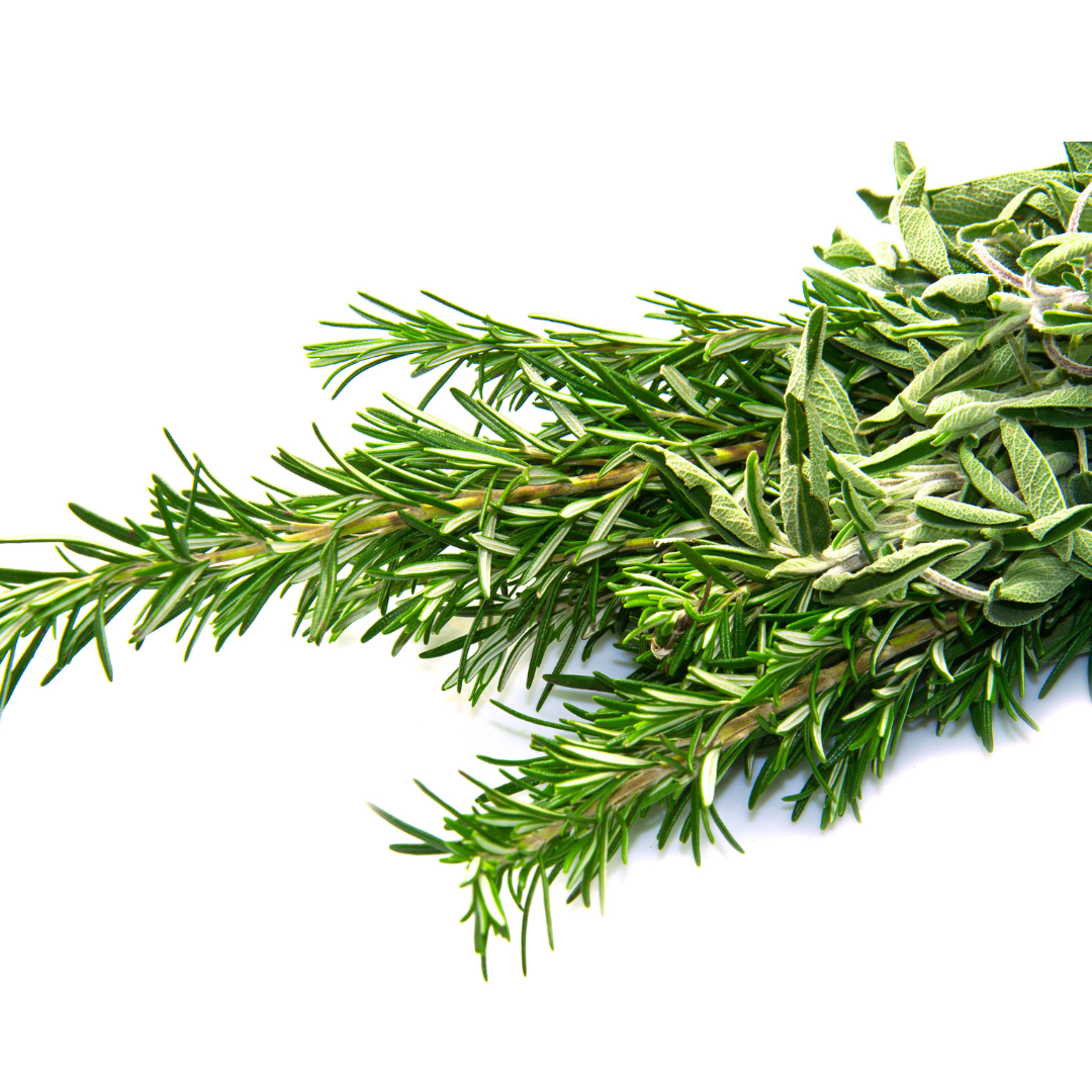 Rosemary & Sage Fragrance Oil Wholesale
