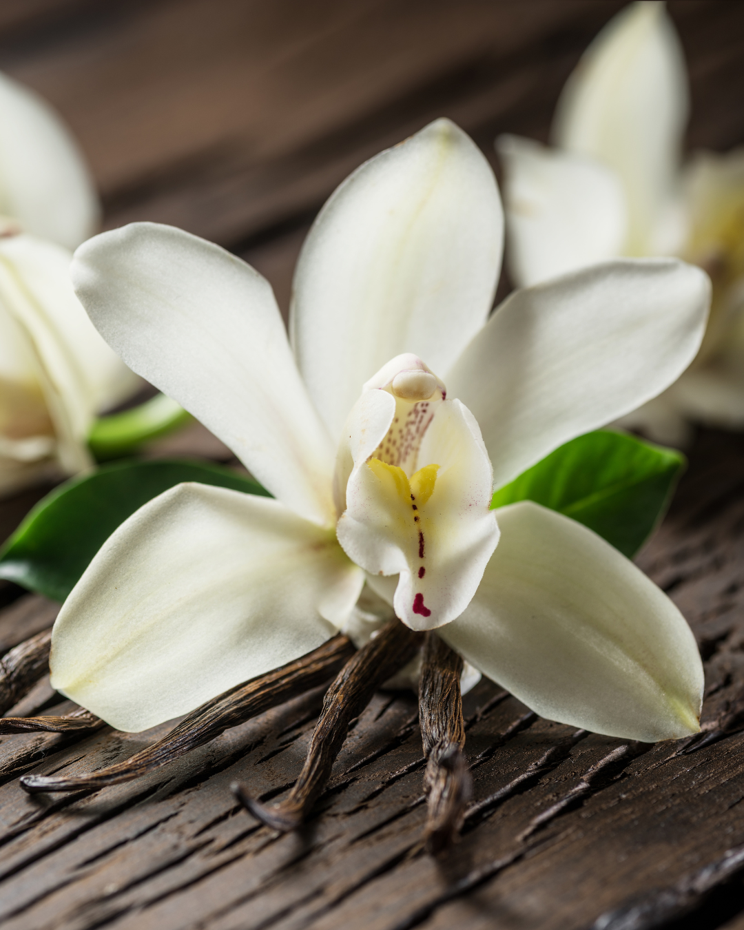 Vanilla Fragrance Oil