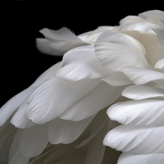 Angel Style Fragrance Oil Wholesale