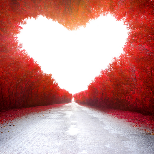 Love Supreme Fragrance Oil all'ingrosso