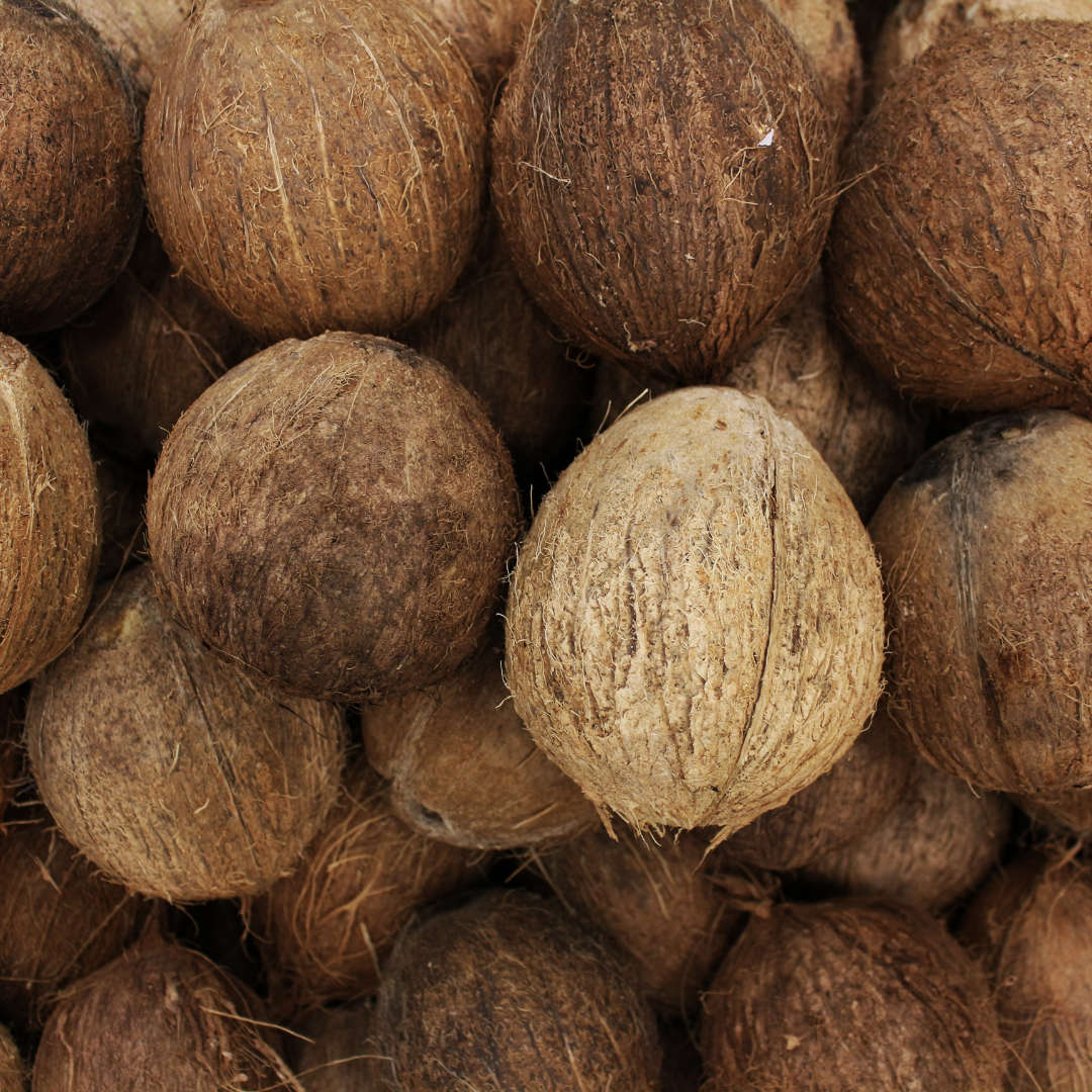 Huile parfumée à la noix de coco jamaïcaine en gros