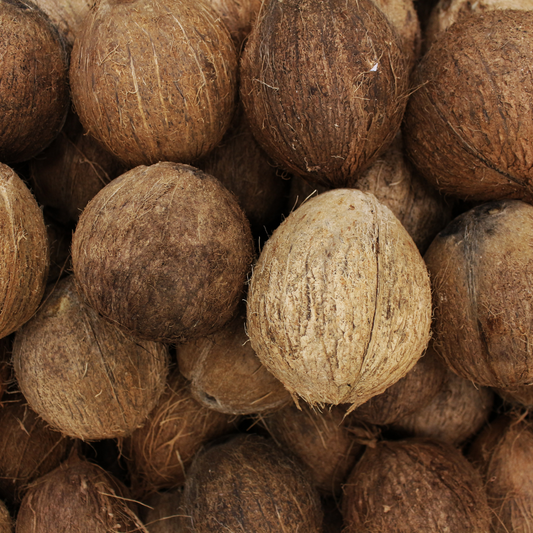 Commercio all'ingrosso di olio profumato di cocco giamaicano