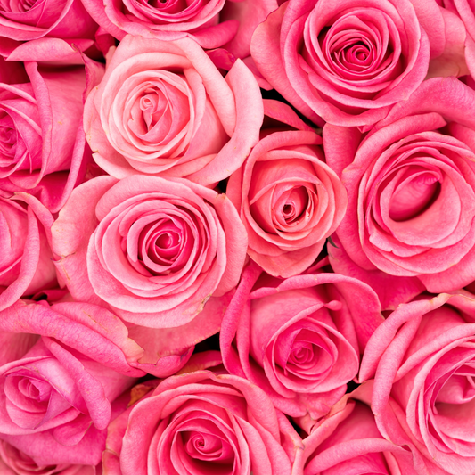 Huile parfumée à la rose anglaise en gros