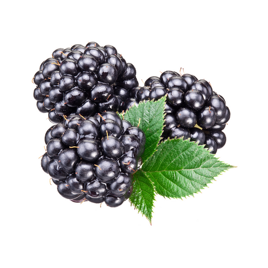 Huile parfumée Dewberry en gros