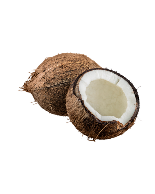 Black Coconut Fragrance Oil