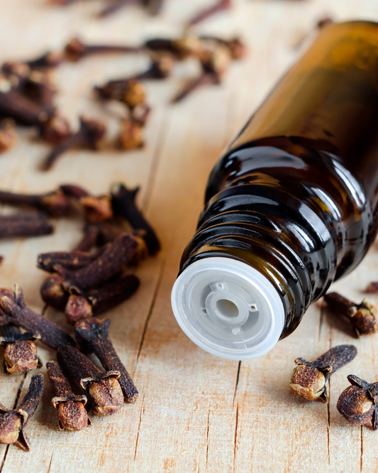 Clove Essential Oil
