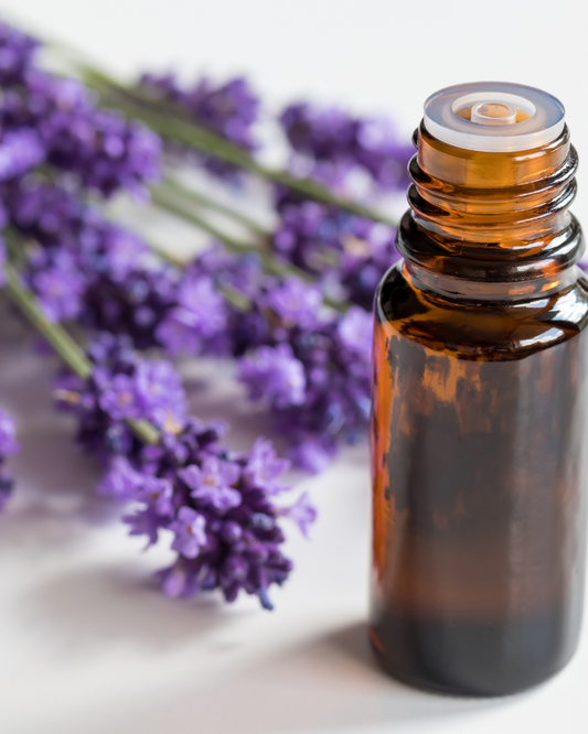 Lavender Essential Oil