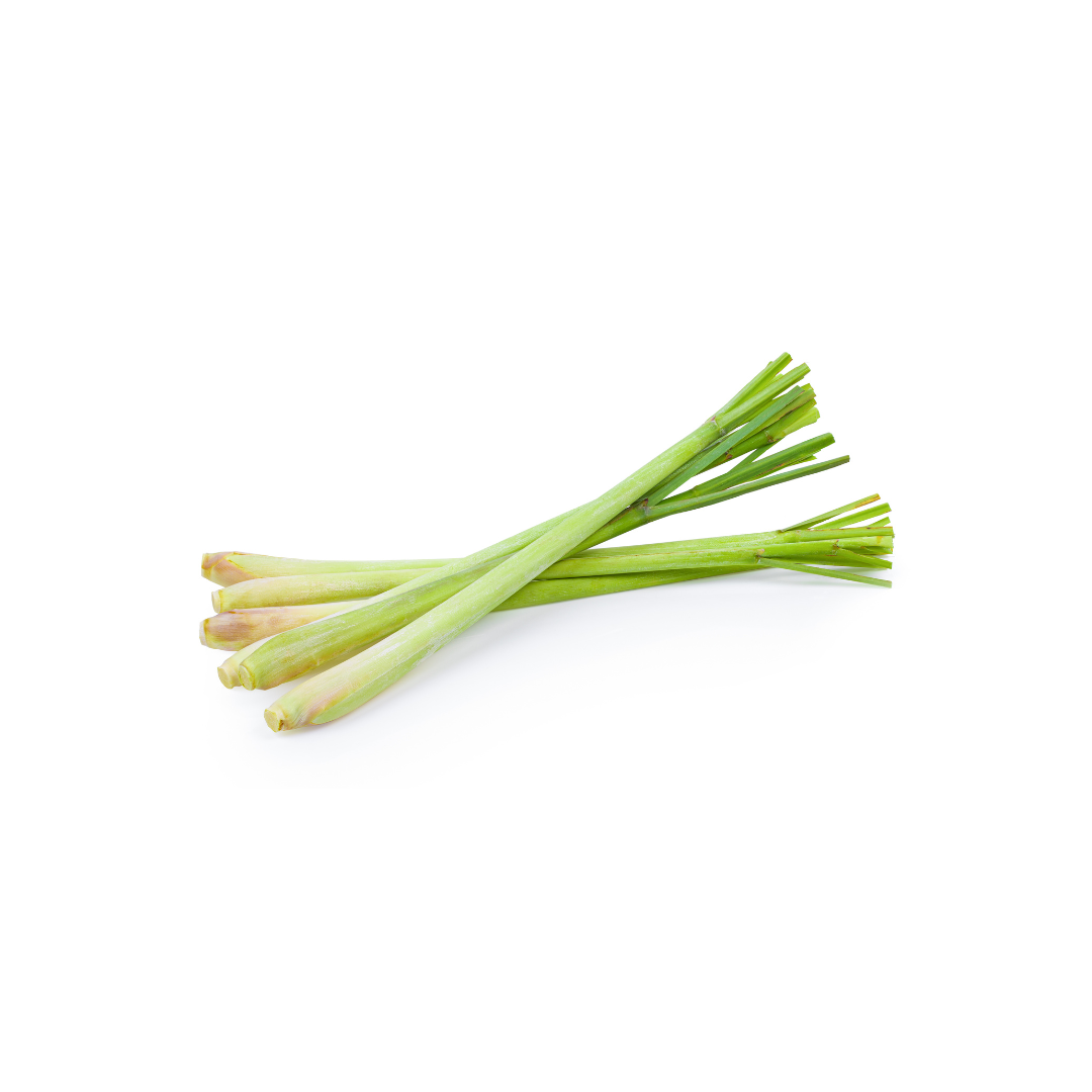 Lemongrass Extra Long Incense Sticks 67cm