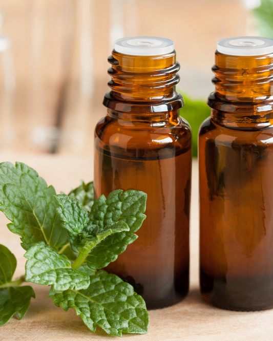 Peppermint Essential Oil